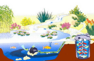 Sistem za preciscavanje vode