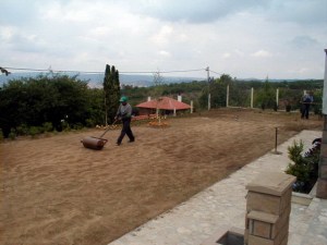Primer izgleda dvorišta pre radova.
